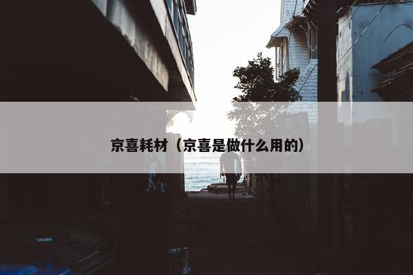 京喜耗材（京喜是做什么用的）