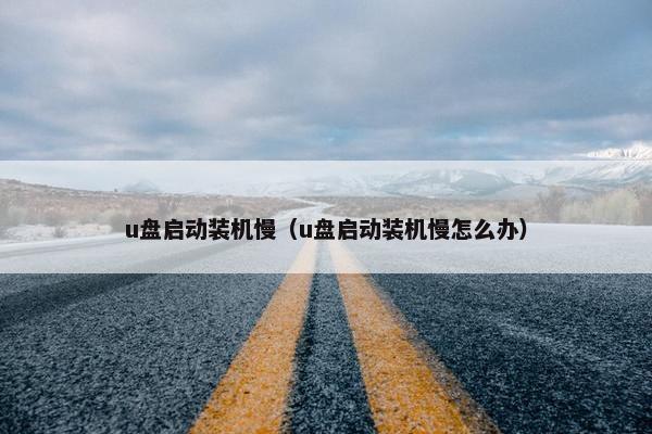 u盘启动装机慢（u盘启动装机慢怎么办）