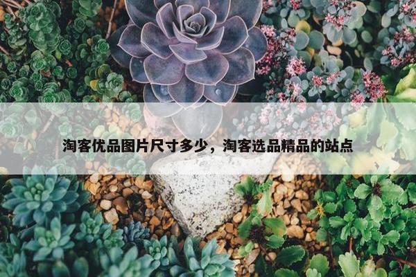 淘客优品图片尺寸多少，淘客选品精品的站点