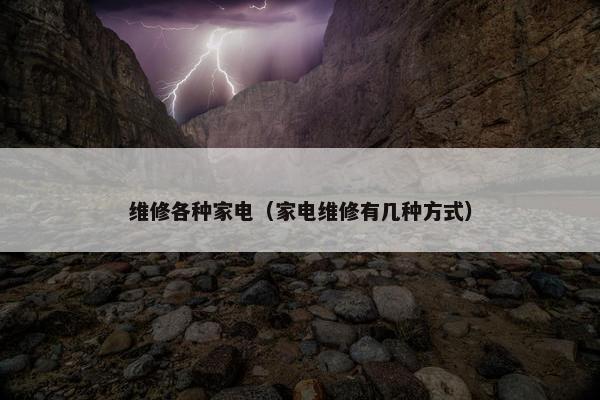 维修各种家电（家电维修有几种方式）
