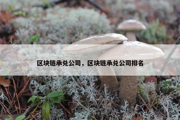 区块链承兑公司，区块链承兑公司排名
