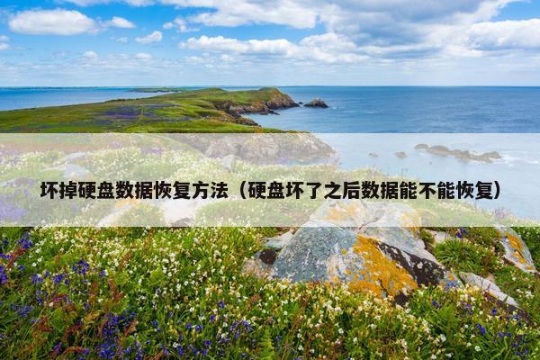 坏掉硬盘数据恢复方法（硬盘坏了之后数据能不能恢复）