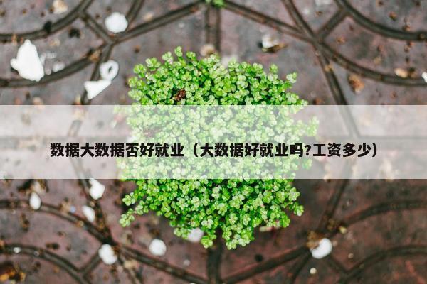 数据大数据否好就业（大数据好就业吗?工资多少）