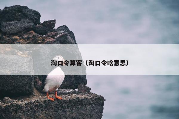 淘口令算客（淘口令啥意思）