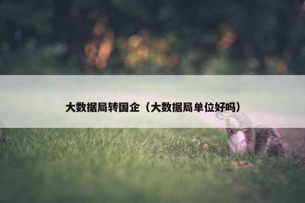 大数据局转国企（大数据局单位好吗）