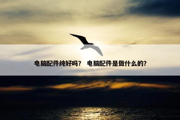 电脑配件纯好吗？ 电脑配件是做什么的？