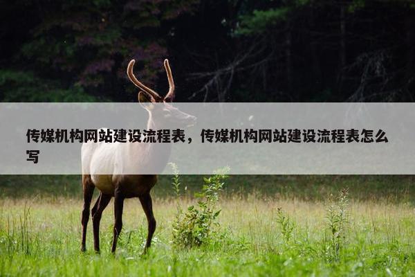传媒机构网站建设流程表，传媒机构网站建设流程表怎么写