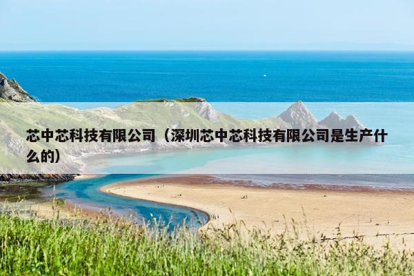 芯中芯科技有限公司（深圳芯中芯科技有限公司是生产什么的）