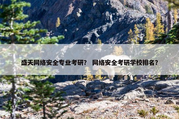 盛天网络安全专业考研？ 网络安全考研学校排名？