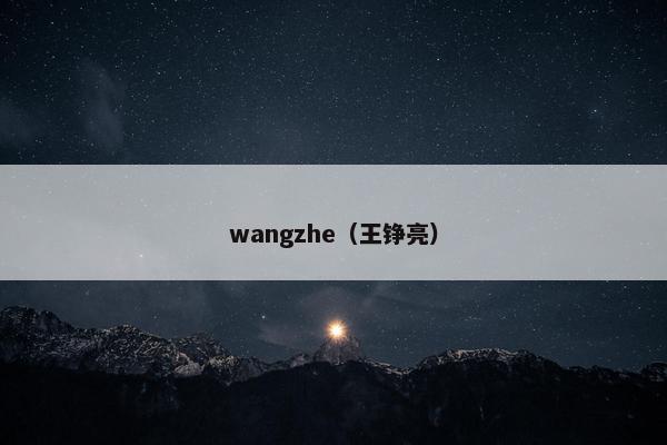 wangzhe（王铮亮）