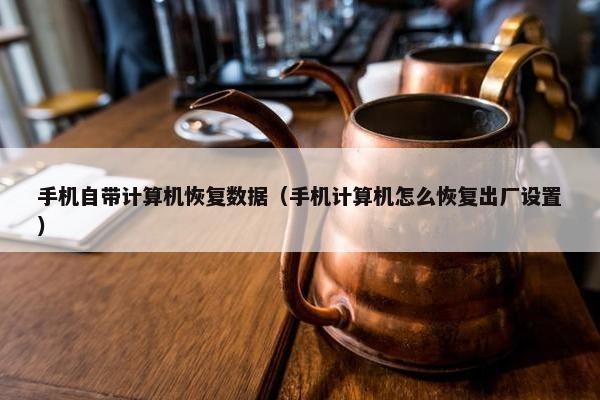 手机自带计算机恢复数据（手机计算机怎么恢复出厂设置）