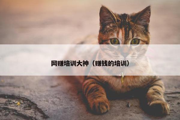 网赚培训大神（赚钱的培训）
