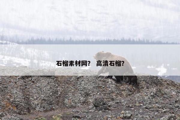 石榴素材网？ 高清石榴？