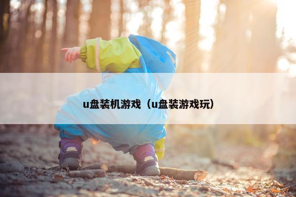 u盘装机游戏（u盘装游戏玩）