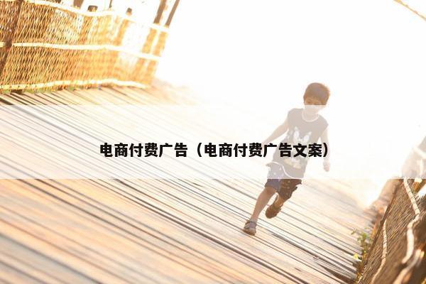 电商付费广告（电商付费广告文案）