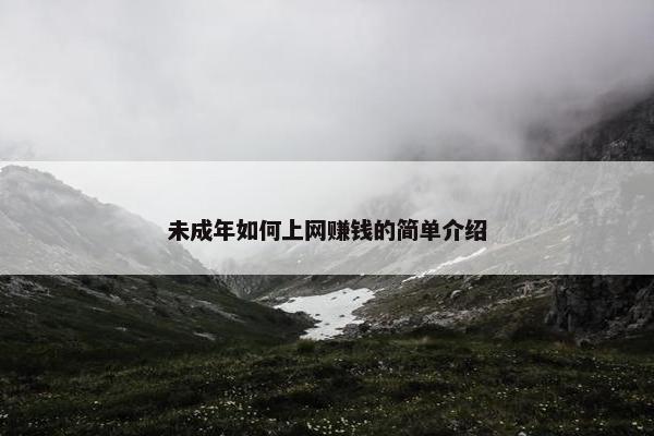 未成年如何上网赚钱的简单介绍