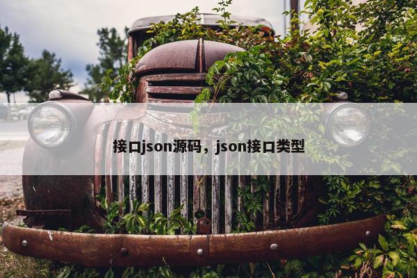 接口json源码，json接口类型