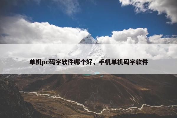单机pc码字软件哪个好，手机单机码字软件