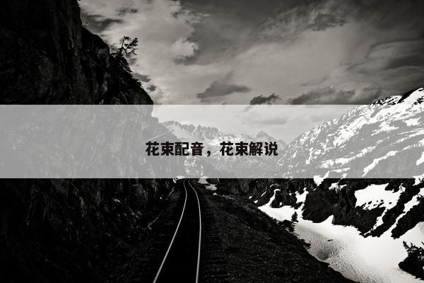 花束配音，花束解说