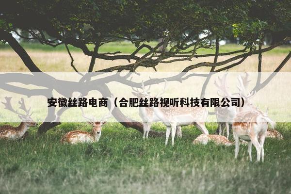 安徽丝路电商（合肥丝路视听科技有限公司）