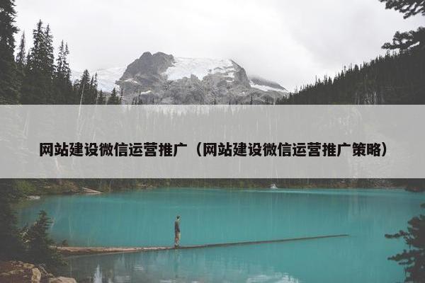 网站建设微信运营推广（网站建设微信运营推广策略）