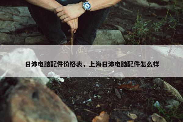日沛电脑配件价格表，上海日沛电脑配件怎么样