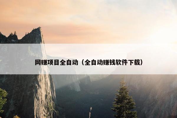 网赚项目全自动（全自动赚钱软件下载）