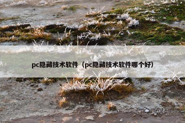 pc隐藏技术软件（pc隐藏技术软件哪个好）