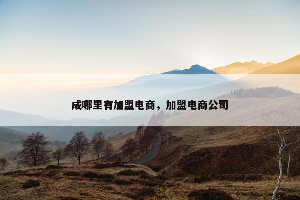成哪里有加盟电商，加盟电商公司