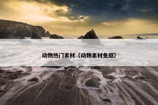 动物热门素材（动物素材免抠）