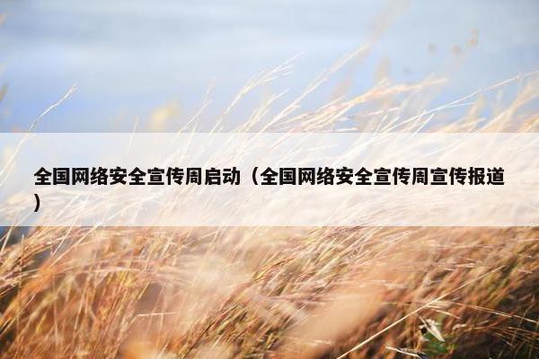 全国网络安全宣传周启动（全国网络安全宣传周宣传报道）
