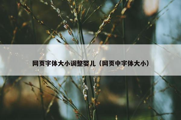 网页字体大小调整婴儿（网页中字体大小）