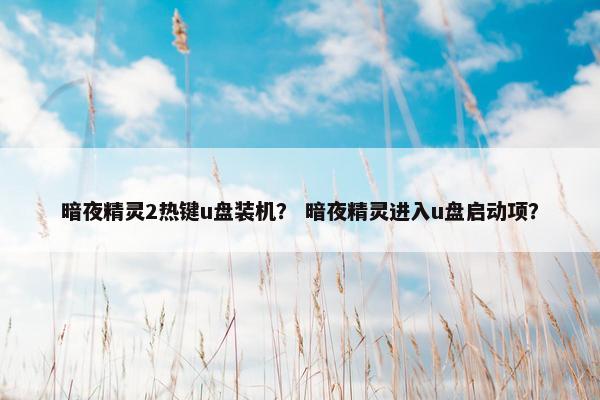 暗夜精灵2热键u盘装机？ 暗夜精灵进入u盘启动项？