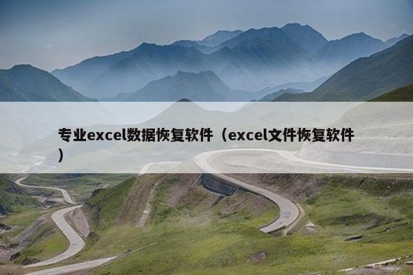 专业excel数据恢复软件（excel文件恢复软件）
