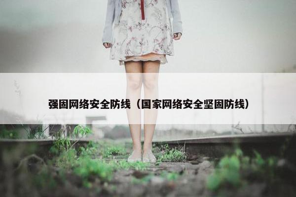 强固网络安全防线（国家网络安全坚固防线）
