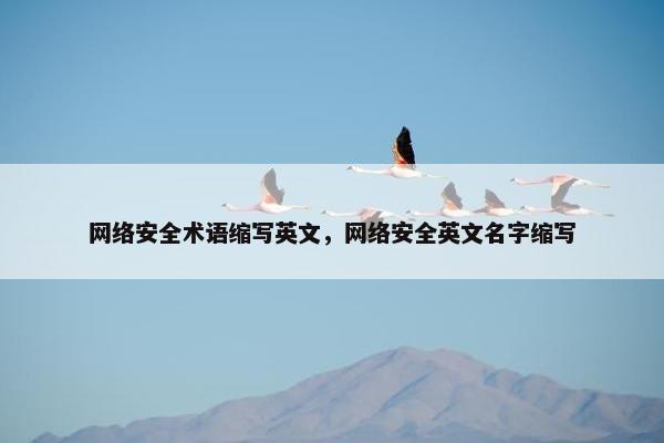 网络安全术语缩写英文，网络安全英文名字缩写