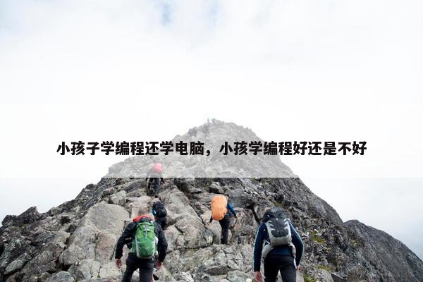 小孩子学编程还学电脑，小孩学编程好还是不好
