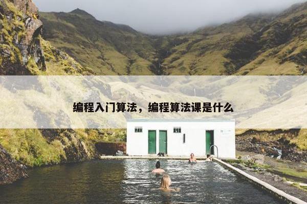 编程入门算法，编程算法课是什么