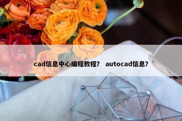 cad信息中心编程教程？ autocad信息？