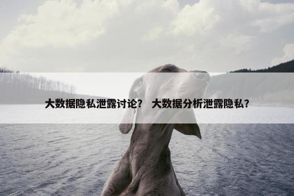 大数据隐私泄露讨论？ 大数据分析泄露隐私？