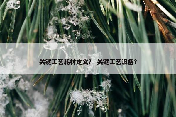 关键工艺耗材定义？ 关键工艺设备？