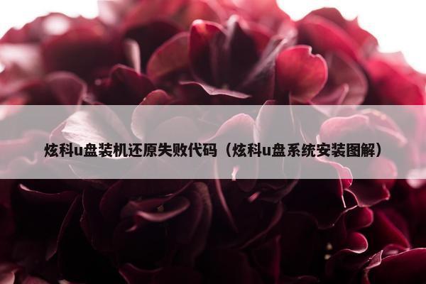炫科u盘装机还原失败代码（炫科u盘系统安装图解）