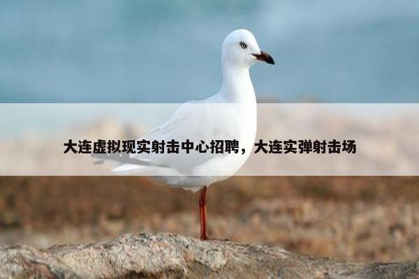 大连虚拟现实射击中心招聘，大连实弹射击场