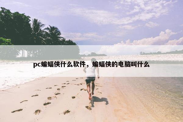 pc蝙蝠侠什么软件，蝙蝠侠的电脑叫什么