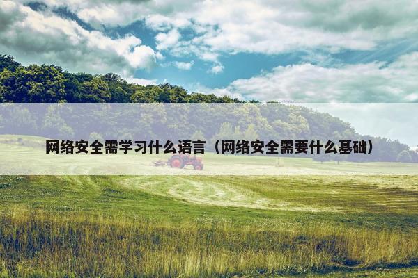 网络安全需学习什么语言（网络安全需要什么基础）