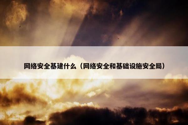 网络安全基建什么（网络安全和基础设施安全局）