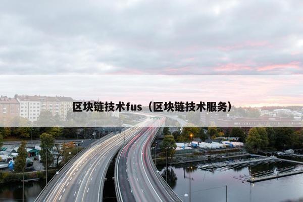 区块链技术fus（区块链技术服务）