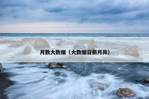月数大数据（大数据日新月异）