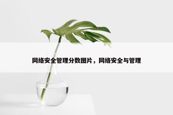 网络安全管理分数图片，网络安全与管理