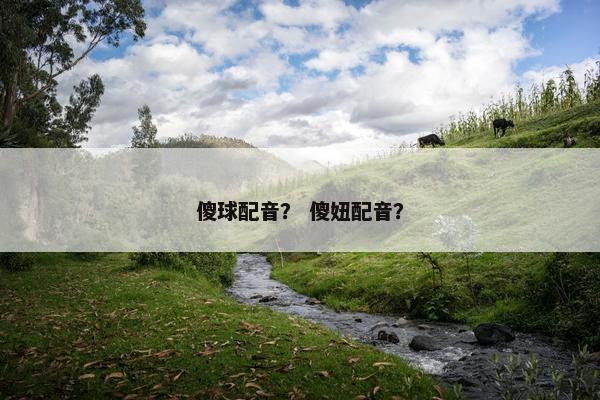 傻球配音？ 傻妞配音？